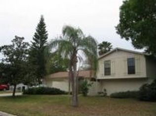 11519 Country Oaks Dr, Tampa, FL 33618