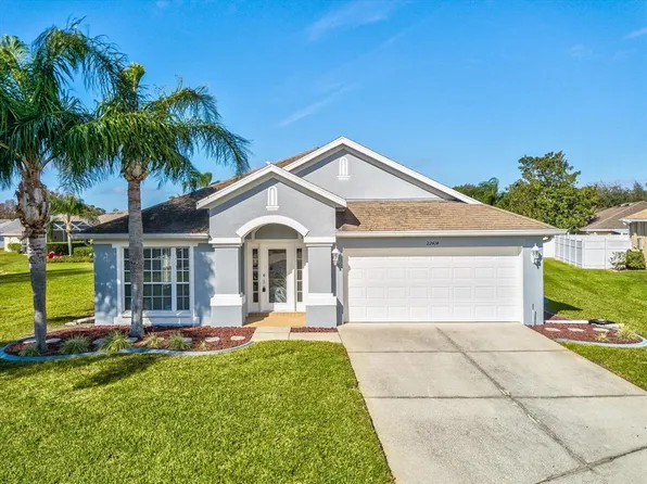 22414 Red Jacket Ln, Land O Lakes, FL 34639