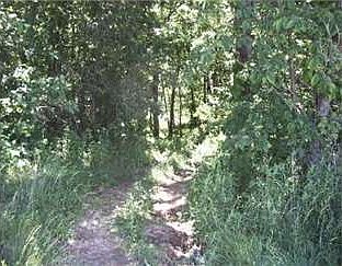1st image of 39 Rr 2