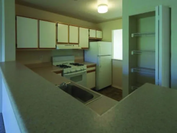 Pineshores Apartments — Photo 6