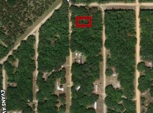 LOT 31 Kennedy Ave LOT 31, Interlachen, FL 32148