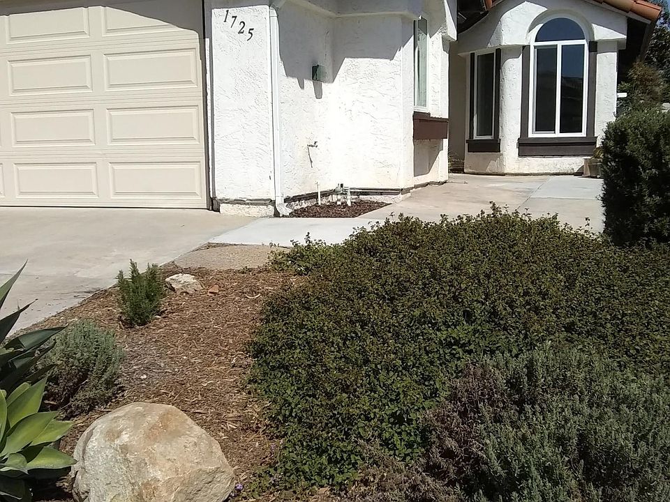 Low maintenance front yard