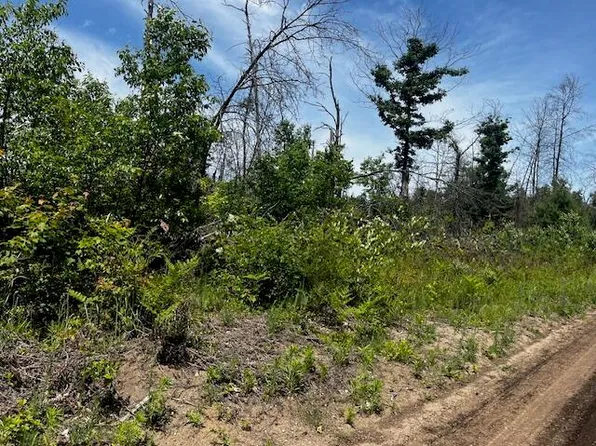 PARCEL 3 S Nelson Rd, Idlewild, MI 49642