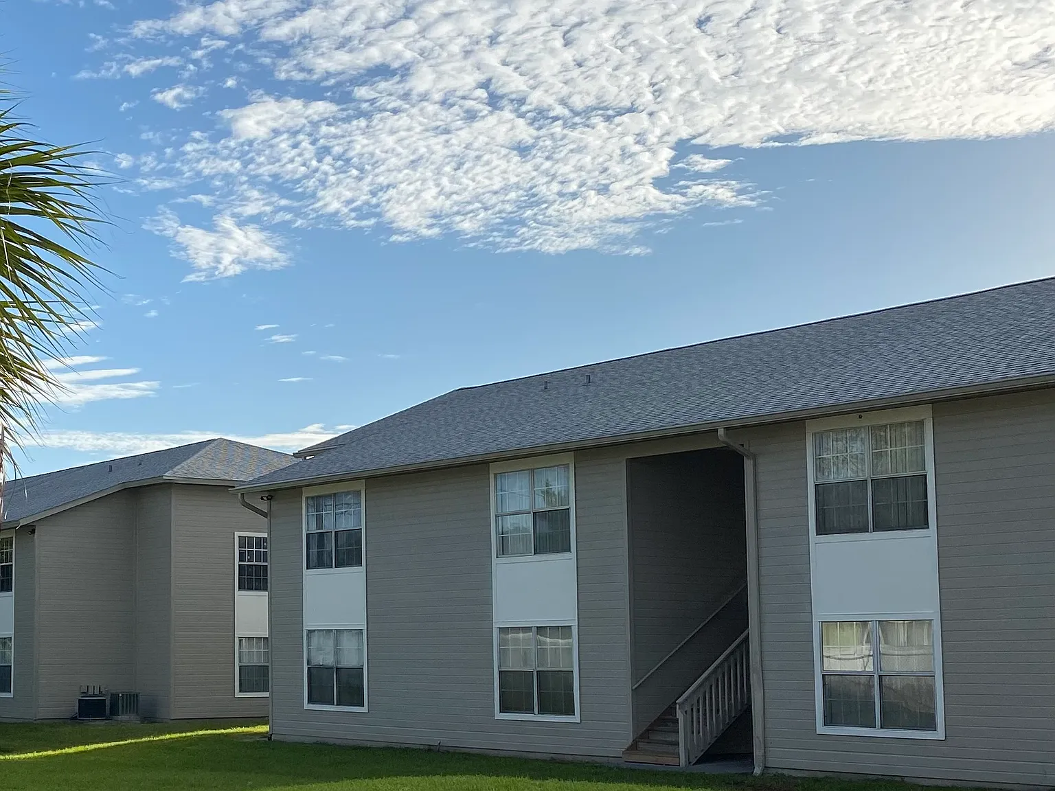 Citrus Meadows — Photo 2