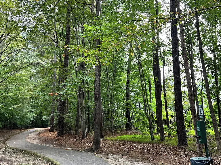 1204 Meadow Moss Ct — Photo 19