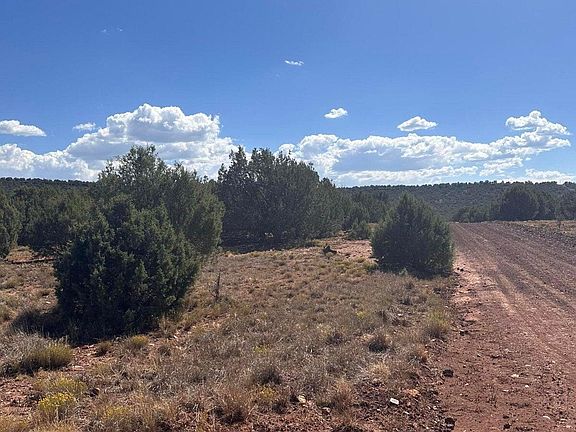 4th image of 343 & 344 County Road 8295