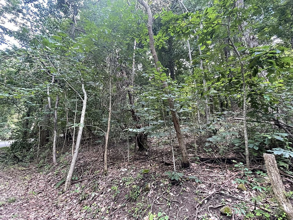 2nd image of 144 Old Mine Ln