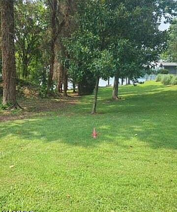 5th image of 240 Phillips Dr