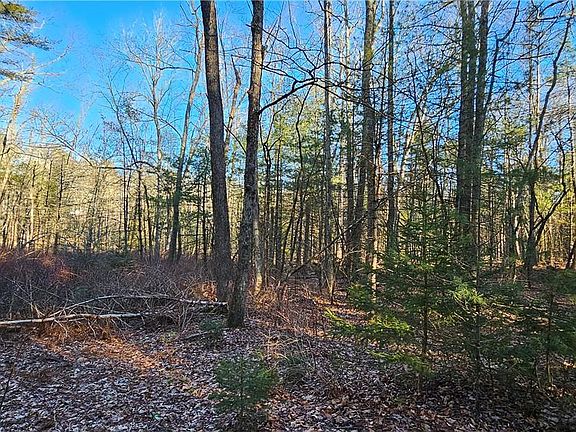 5th image of Lot 57.1 Yulan-Barryville Road