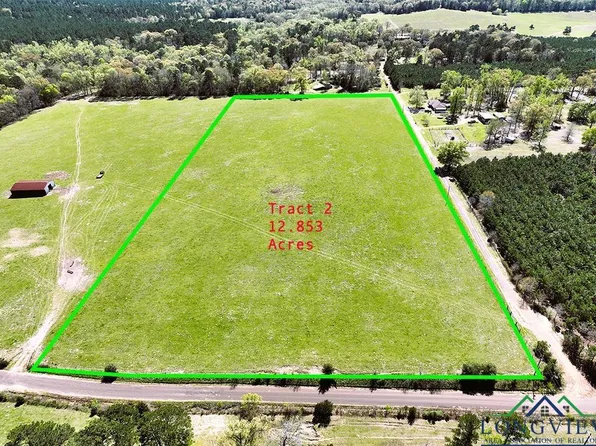 Holly Rd Tract 2, Gilmer, TX 75644