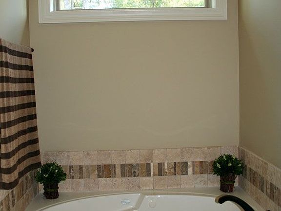 Master Bath Tub