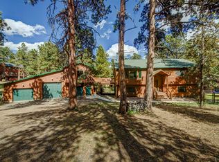190 Impala Trl, Bailey, CO 80421
