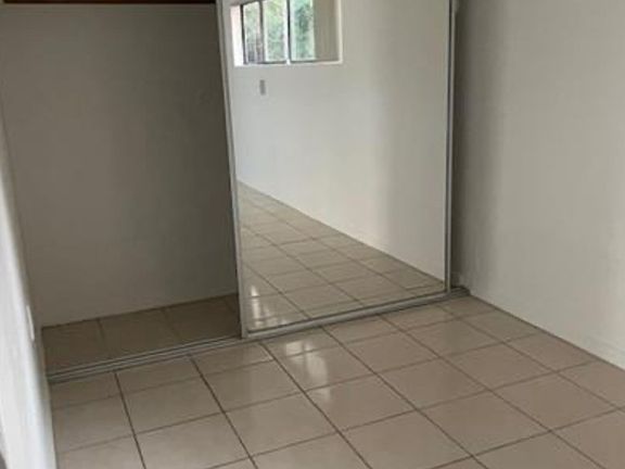 Full length mirror closet
