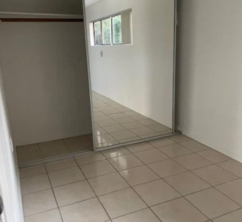 Full length mirror closet