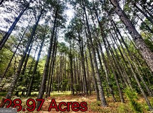 300 Jabez Poyner Rd, Carlton, GA 30627