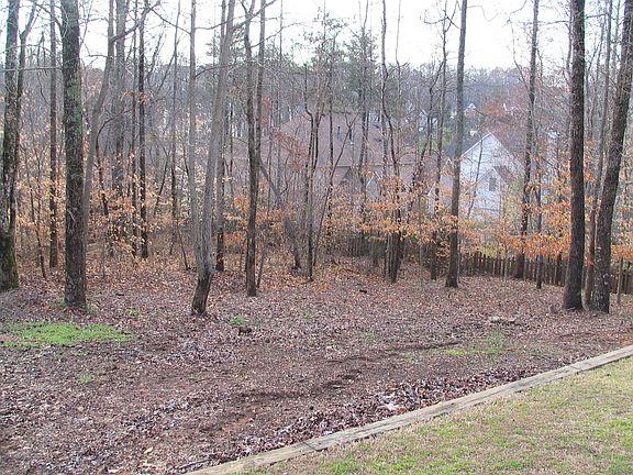 Great Backyard Large, Level & Private