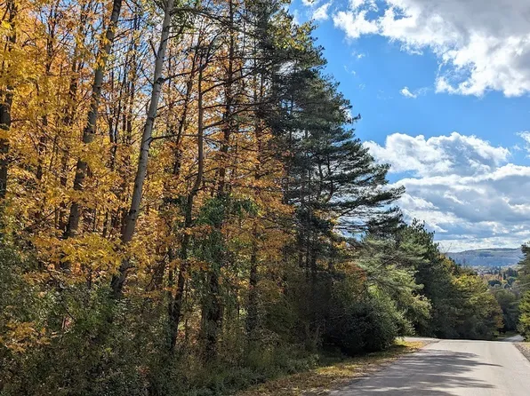 0 Johnny Cake Hill Rd #49, Hamilton, NY 13346