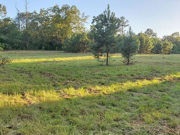 3rd image of 6774 Bill Lundy Rd