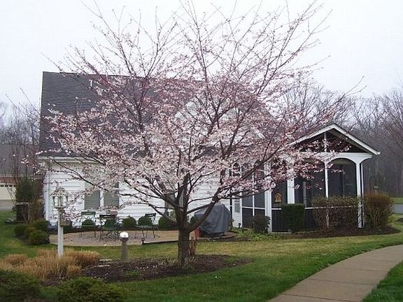 rear view pation/sunroom
