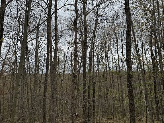 5th image of 10513 Hilltop Rd