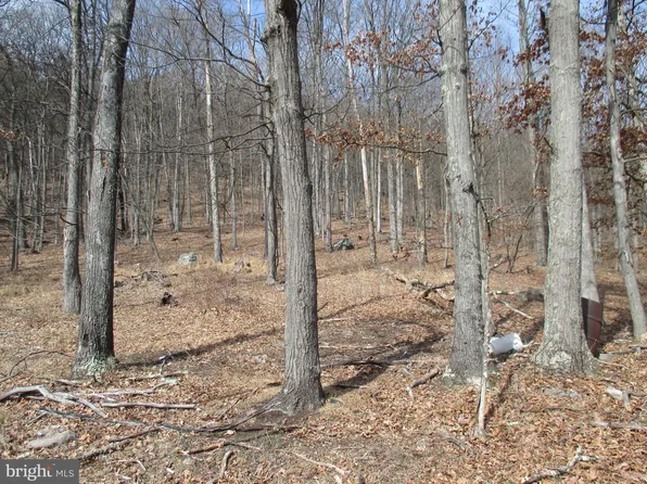 272 Split Oak Ln, Ridgeley, WV 26753