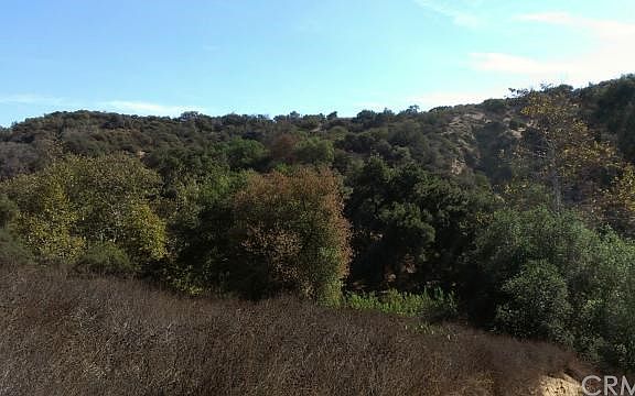 4th image of 1835 Via Arroyo