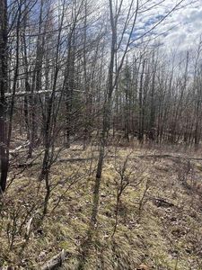  NATURE TRAIL ROAD, Townsend, WI, 54175