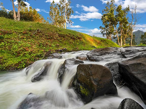 5th image of 2818 Kamookoa Rd #3