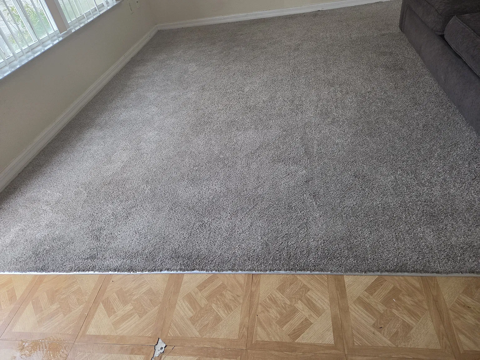 1110 Washington Palm Loop — Photo 3