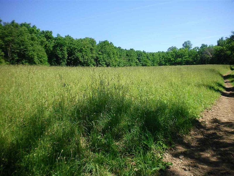 4th image of SCHOHARIE HILL Road