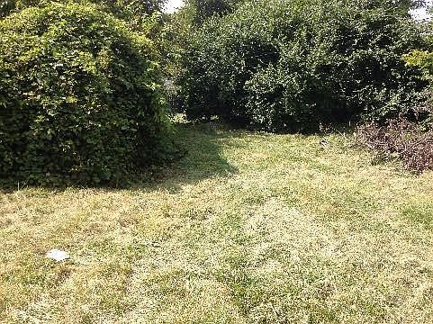 2nd image of 3286 Ralston Ave