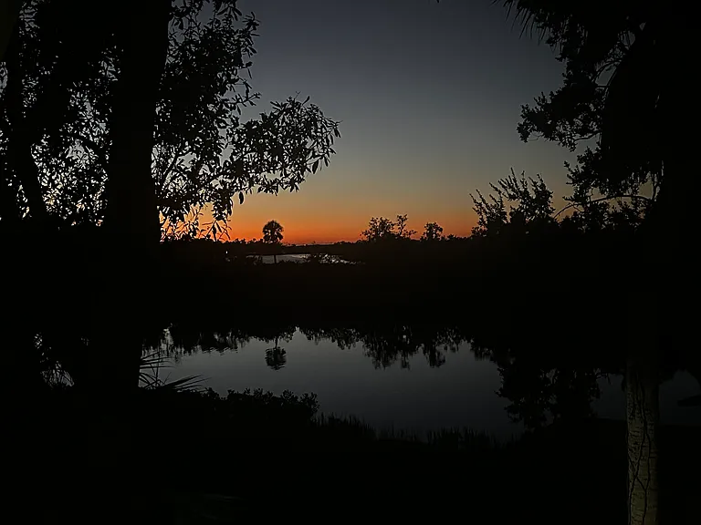 12317 Upper Manatee River Rd — Photo 5