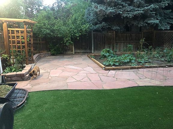 turf and sandstone backyard