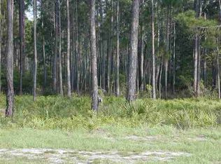 45 Snails Pace Ln, Panacea, FL 32346