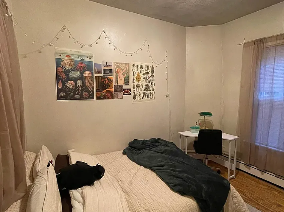 3 bed, 9999 sqft, $3,000 — Photo 3