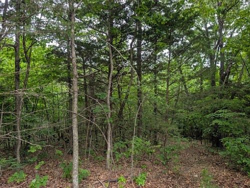 2nd image of Sutton Pl #1