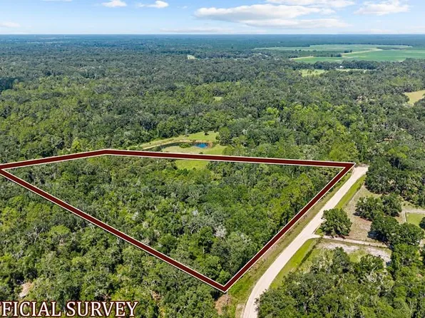  NE 354th Ave, Old Town, FL 32680