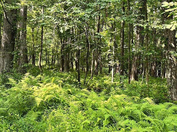 5th image of 0 Woodland Road