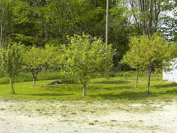 Fruit Trees