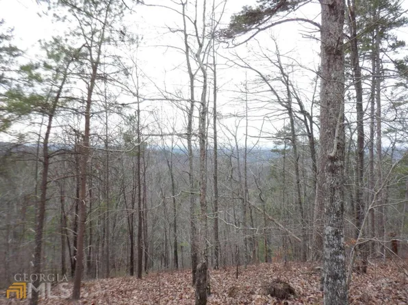 27 Antler Ct, Ranger, GA 30734