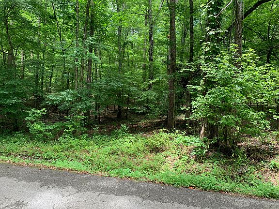 2nd image of Eagle Point Dr