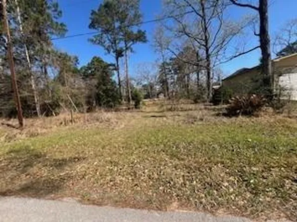 Apple Tree, Livingston, TX 77351