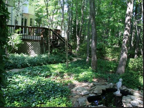 Backyard in Summer