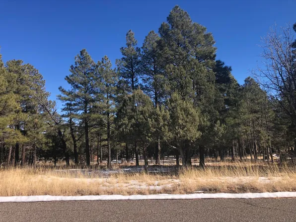 2609 Arapaho Dr, Happy Jack, AZ 86024