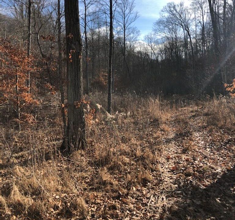 2nd image of 4 S County Road 1150 Rd W