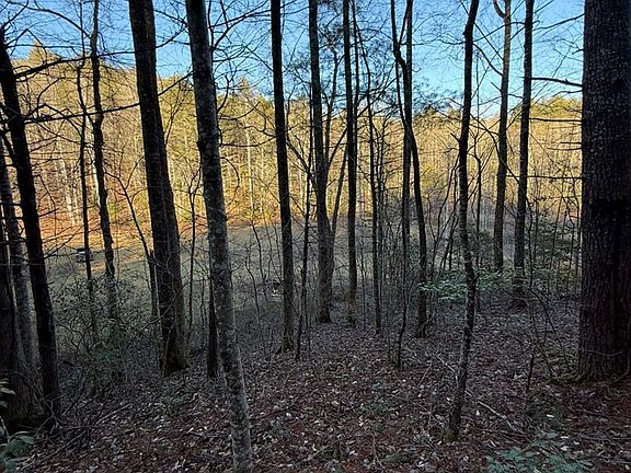 5th image of TBD Grape Creek Road