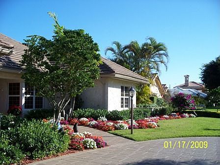 2009 Photo