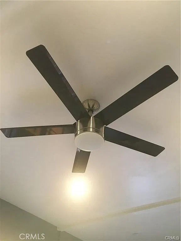 3 bed, 1000 sqft, $3,250 — Photo 2