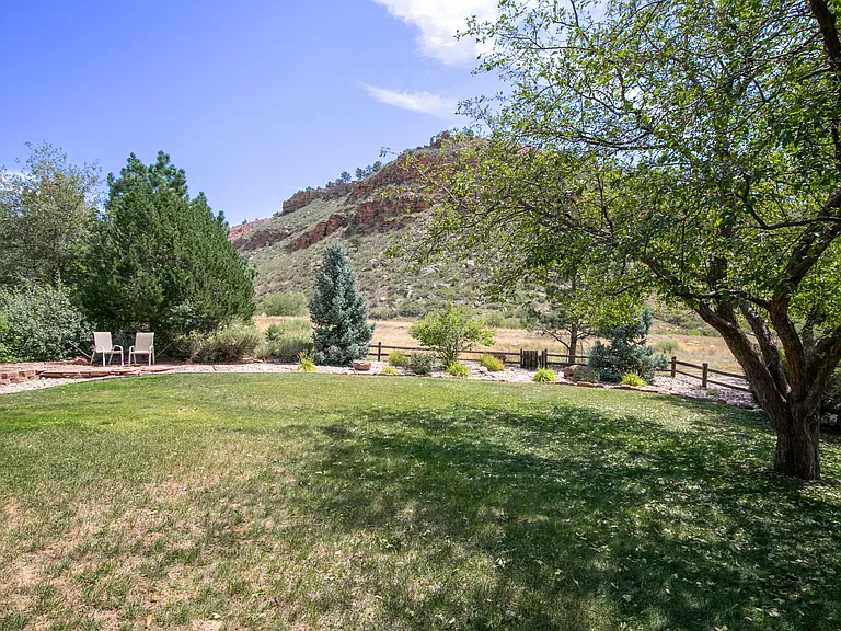 Large fenced in backyard. Your well behaved dog is welcome!