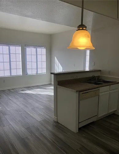 2131 Hussium Hills St #206 Photo 1
